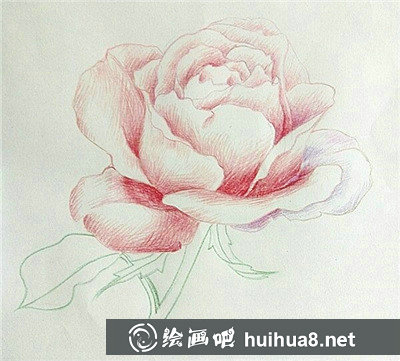 彩鉛畫花卉繪畫教程：桃花