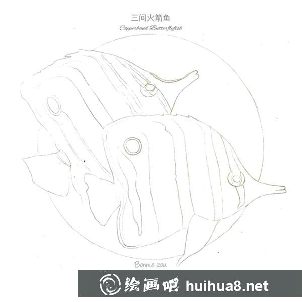 熱帶魚彩鉛畫步驟圖