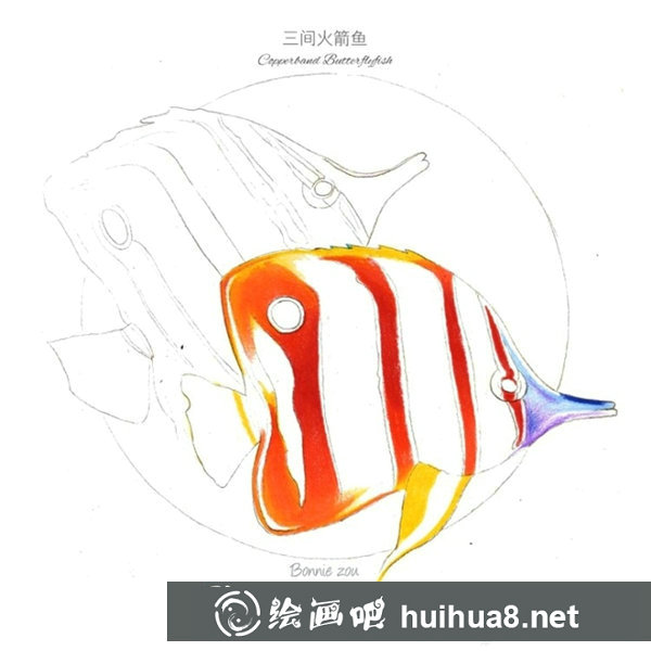 熱帶魚彩鉛畫步驟圖