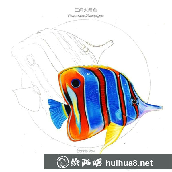 熱帶魚彩鉛畫步驟圖