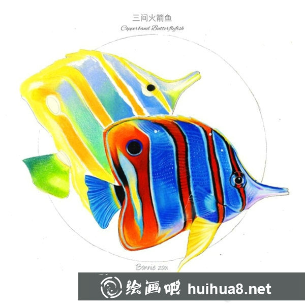 熱帶魚彩鉛畫步驟圖
