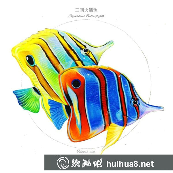 熱帶魚彩鉛畫步驟圖