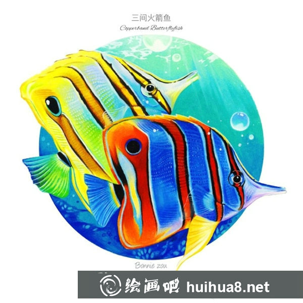 熱帶魚彩鉛畫步驟圖