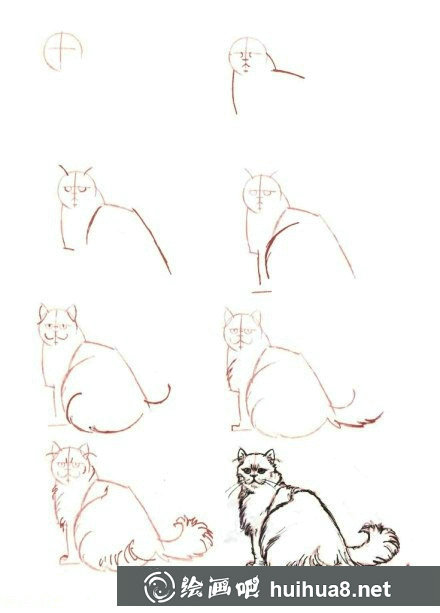 貓咪速寫教程