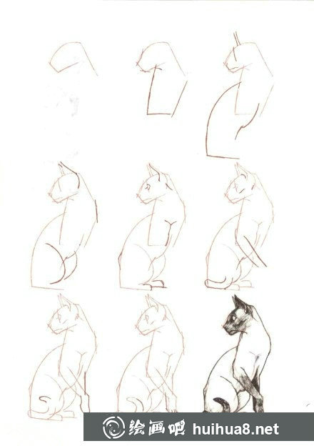 貓咪速寫教程