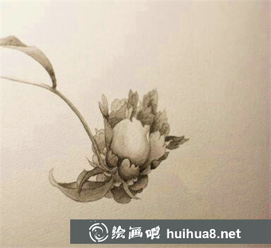 丙烯畫入門：花蕾的上色技法繪畫