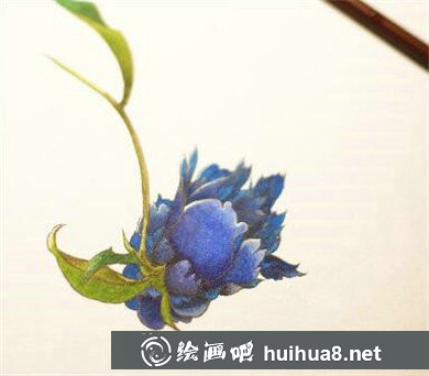丙烯畫入門：花蕾的上色技法繪畫