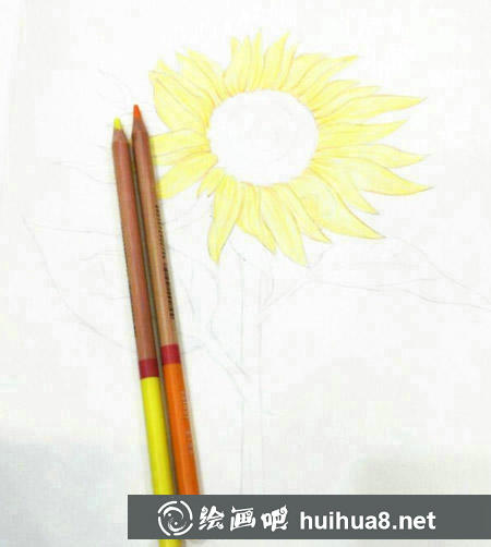 向日葵彩鉛畫教程