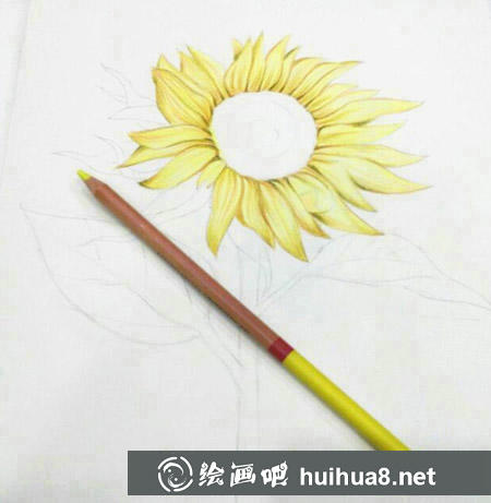 向日葵彩鉛畫教程