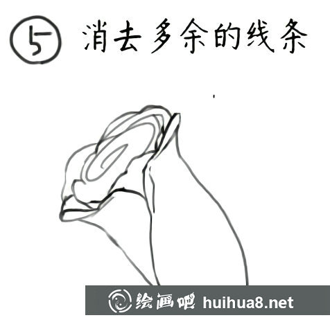 漫畫玫瑰花的畫法教程
