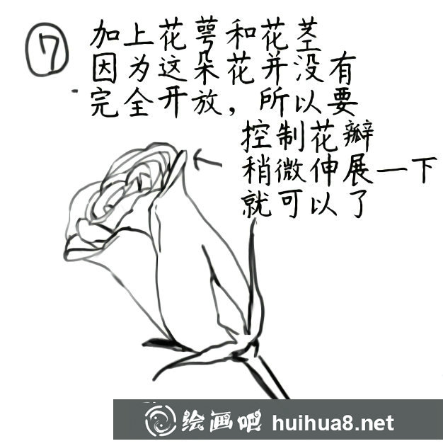 漫畫玫瑰花的畫法教程