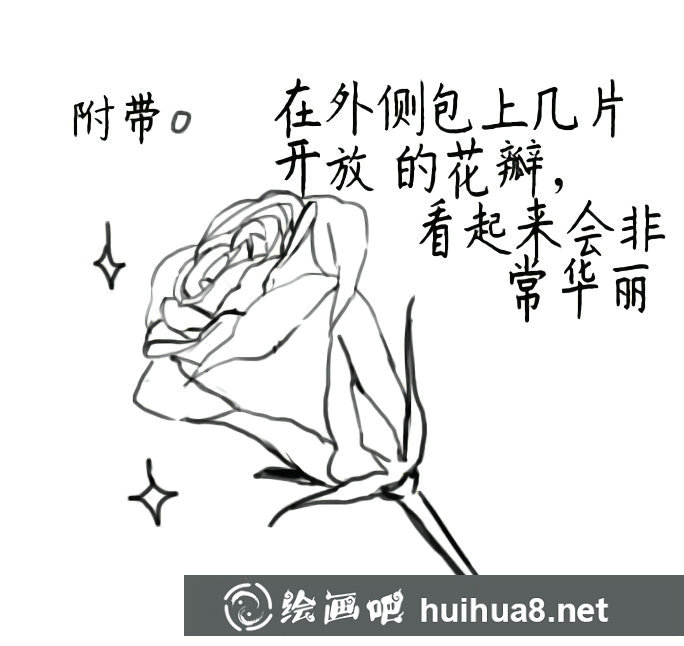 漫畫玫瑰花的畫法教程