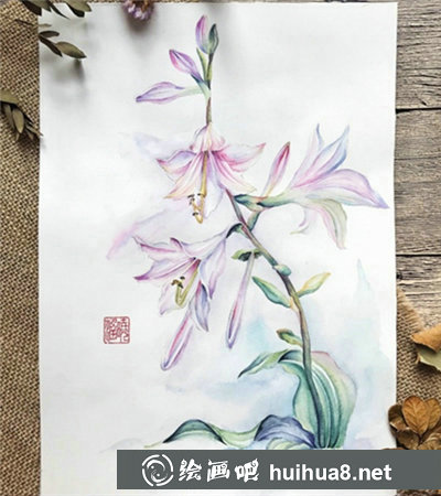 水彩畫(huà)玉簪花