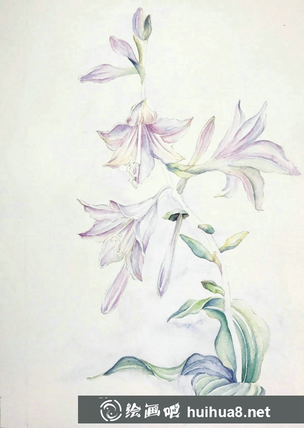 簡(jiǎn)單的水彩花卉步驟圖