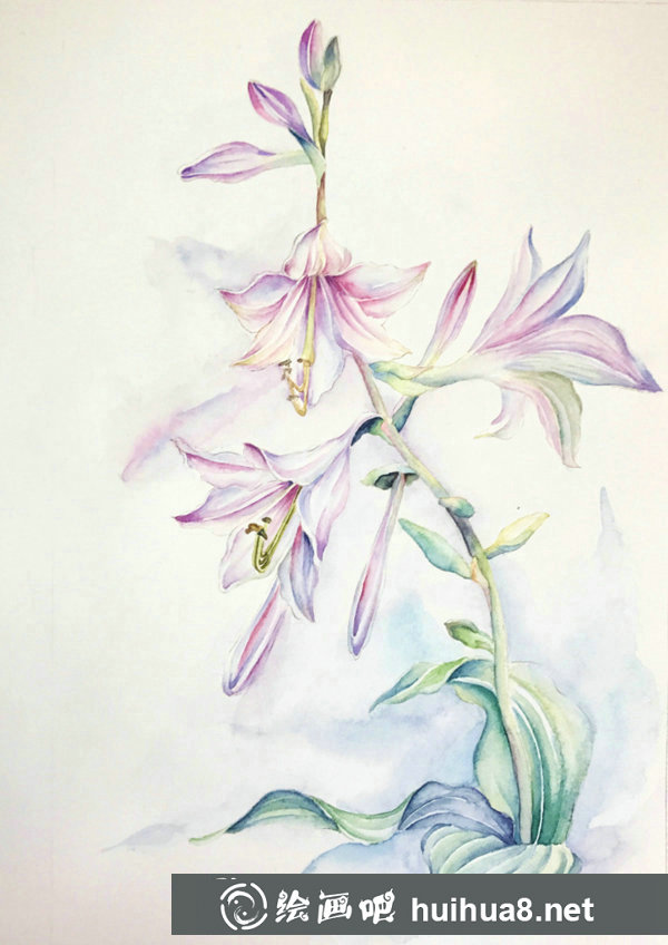 簡(jiǎn)單的水彩花卉步驟圖