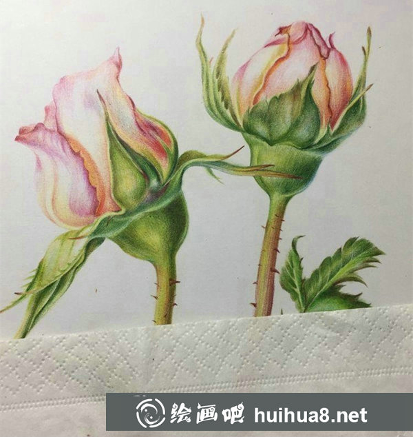 超實(shí)用的彩鉛畫(huà)技巧