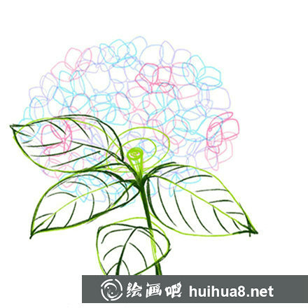 繡球花畫法步驟