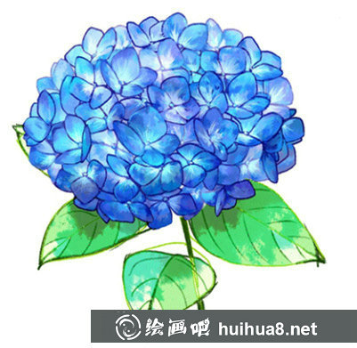 繡球花畫法步驟