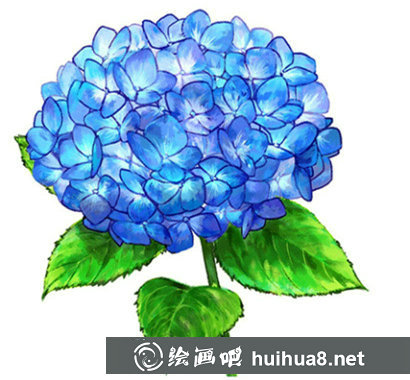 繡球花畫法步驟