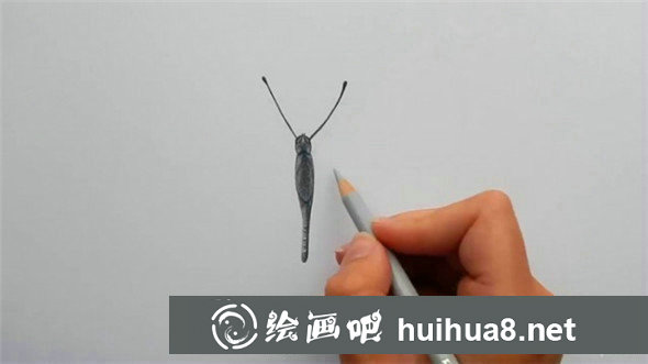 蝴蝶怎么畫?簡(jiǎn)單的蝴蝶手繪彩鉛畫教程