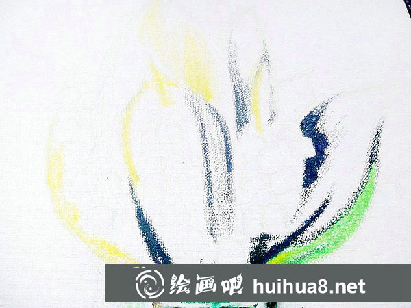 油畫(huà)棒花卉教程