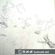 工筆貓畫法教程步驟圖解