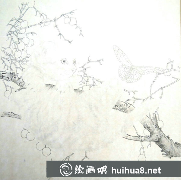 工筆貓畫法步驟圖