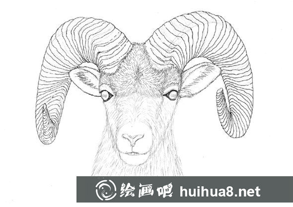 貓咪鋼筆畫描摹