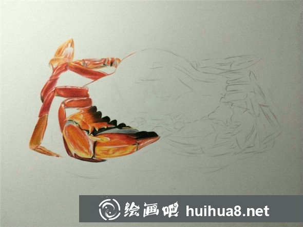 螃蟹彩鉛畫教程