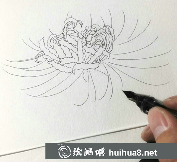 鋼筆畫彼岸花