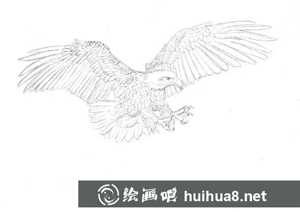 貓的鋼筆畫(huà)畫(huà)法