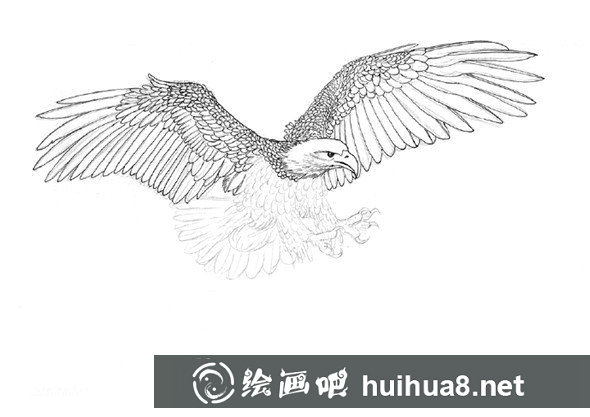 貓的鋼筆畫(huà)畫(huà)法