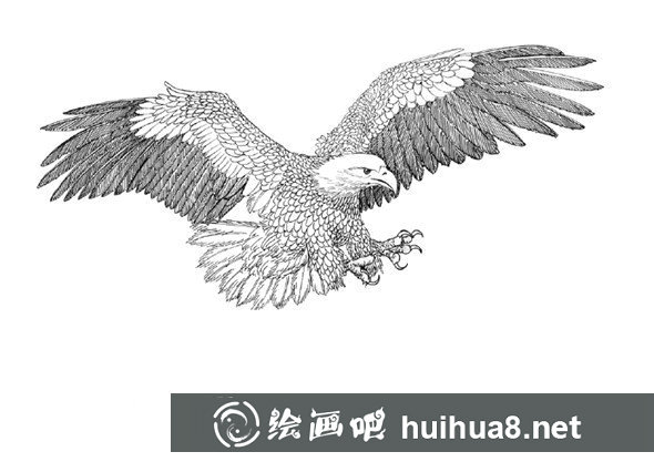 貓的鋼筆畫(huà)畫(huà)法