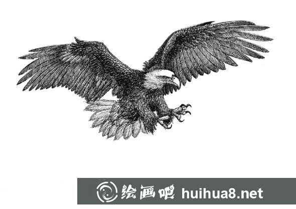 貓的鋼筆畫(huà)畫(huà)法