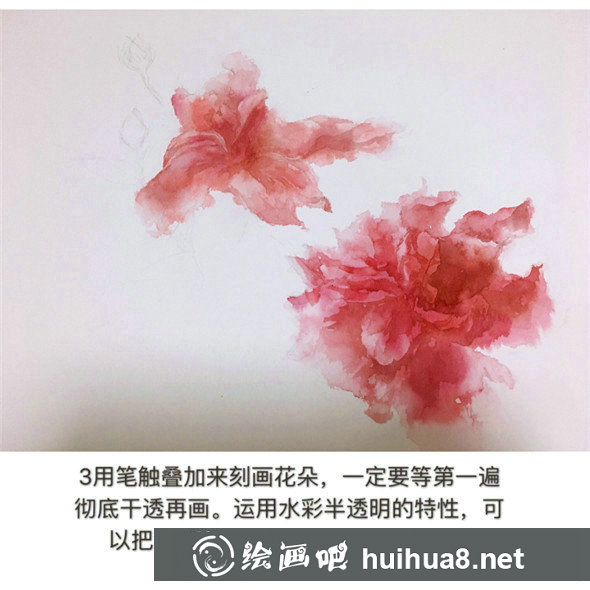 如何畫(huà)荷花?荷花水彩畫(huà)教程