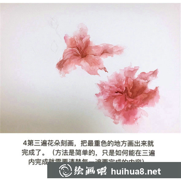 如何畫(huà)荷花?荷花水彩畫(huà)教程