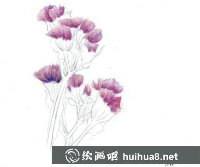 彩鉛畫手繪向日葵教程