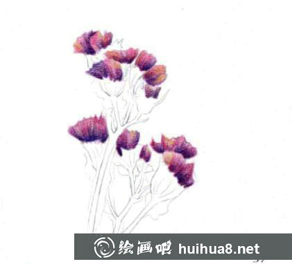 彩鉛畫手繪向日葵教程