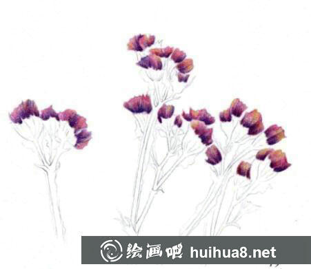 彩鉛畫手繪向日葵教程