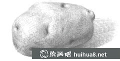 素描土豆繪畫教程