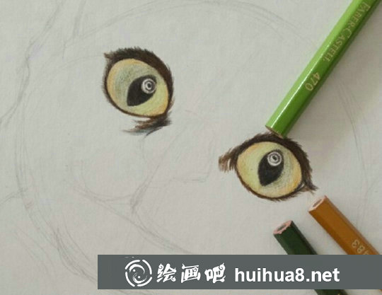 彩鉛畫(huà)貓咪手繪教程