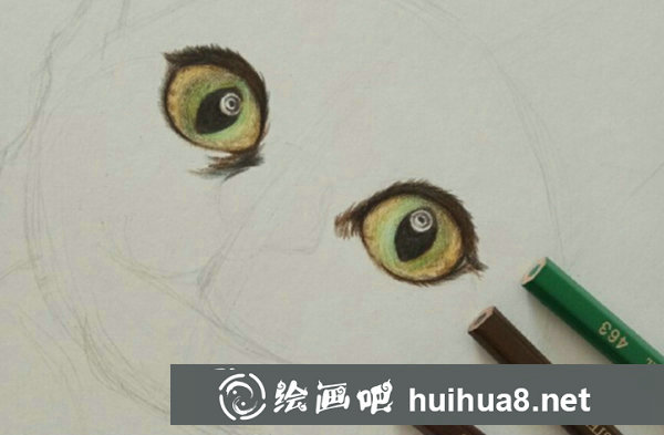 彩鉛畫(huà)貓咪手繪教程