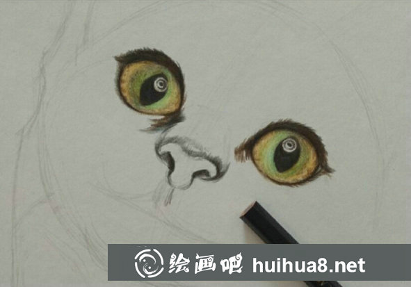 彩鉛畫(huà)貓咪手繪教程