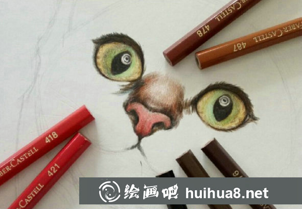 彩鉛畫(huà)貓咪手繪教程