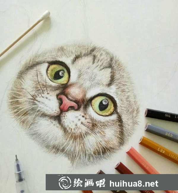 彩鉛畫(huà)貓咪手繪教程