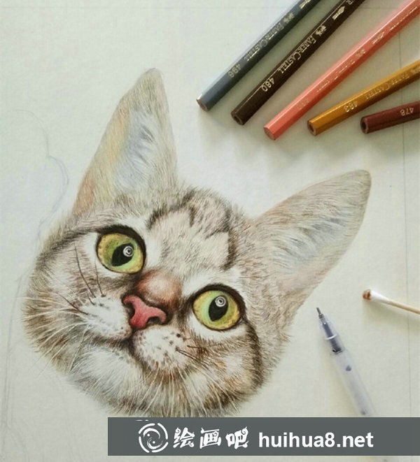 彩鉛畫(huà)貓咪手繪教程