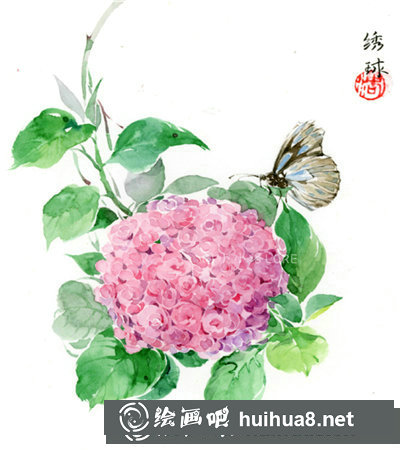 水彩畫繡球花教程步驟圖片