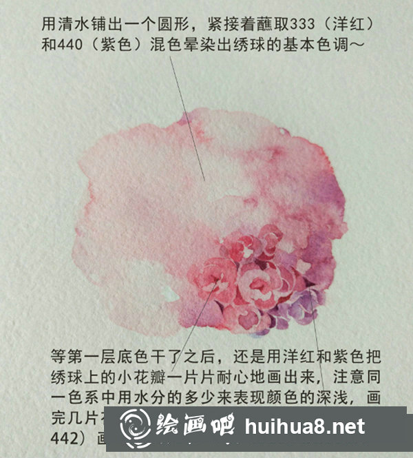 水彩畫繡球花