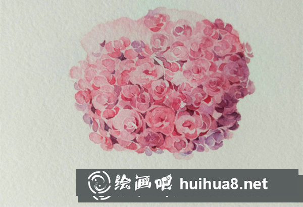 水彩畫繡球花