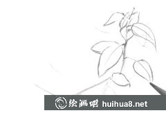 風(fēng)景速寫樹(shù)葉畫法教程